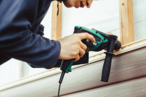 Best Steel Siding Installation  in Three Lakes, FL